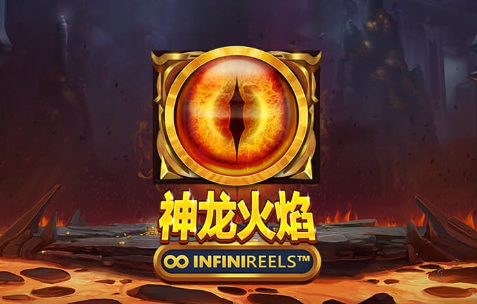 365速发国际有多少年了